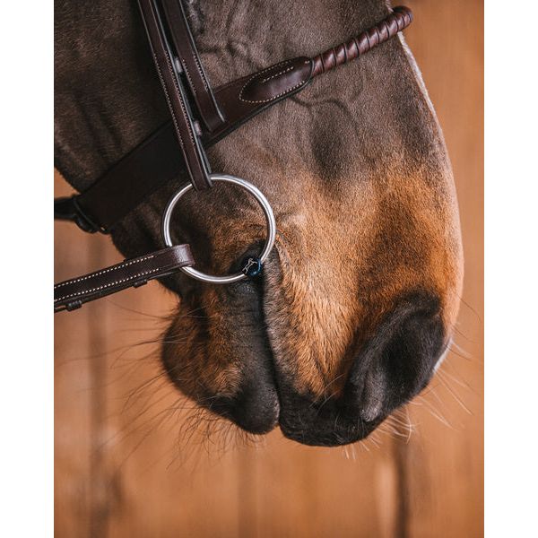LAST CHANCE Fager Fanny Titanium Loose Ring