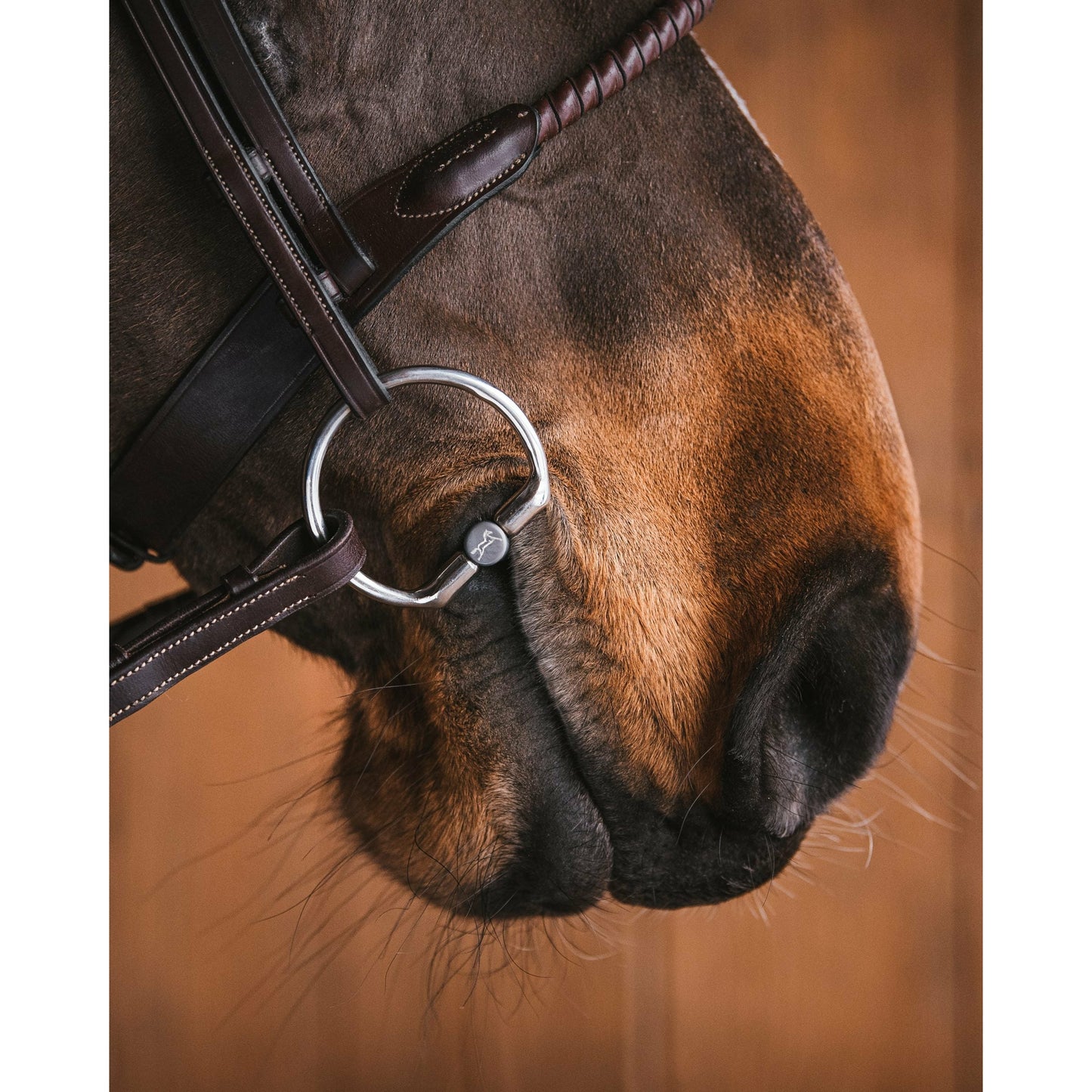 LAST CHANCE Fager Wilma Titanium Fixed Ring