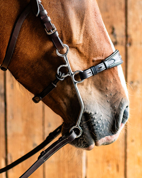 Fager Hunter Hackamore Medium Shank