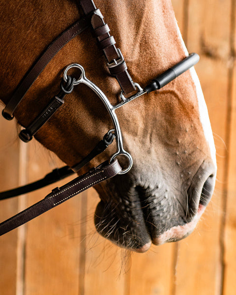 Fager Hector Hackamore Short Shank