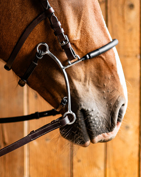Fager Hector Hackamore Medium Shank