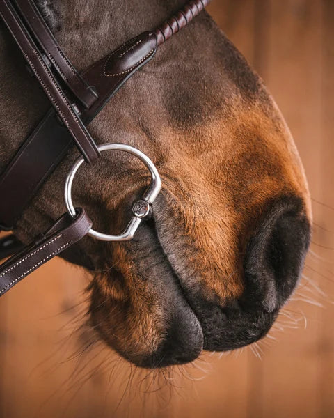 Fager Leo Sweet Iron Fixed Ring