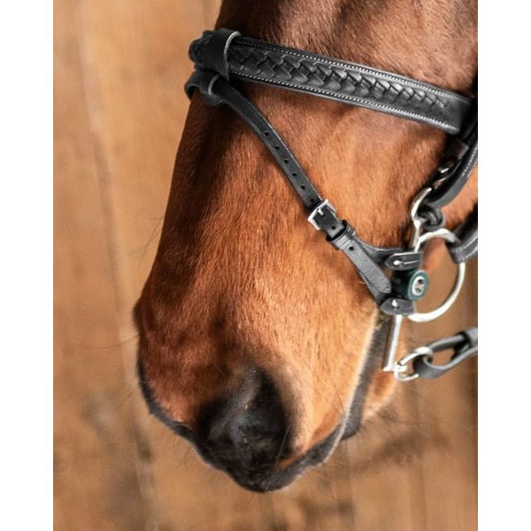 Fager Double Bit Lifter - Black